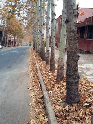 سفر تیم طبیعت گردی مرکز به کاشان ، روستای ابیانه و منظقه کویری: عکس شماره 9 / 12